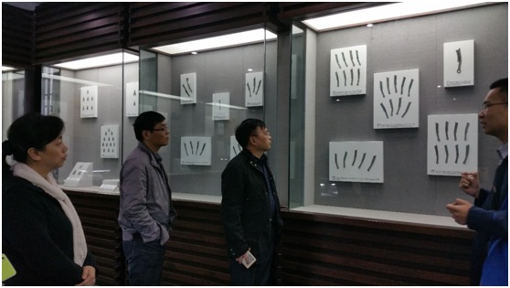焦馆长一行参观中南财经政法大学图书馆钱币馆.jpg 焦馆长一行参观中南财经政法大学图书馆钱币馆.jpg