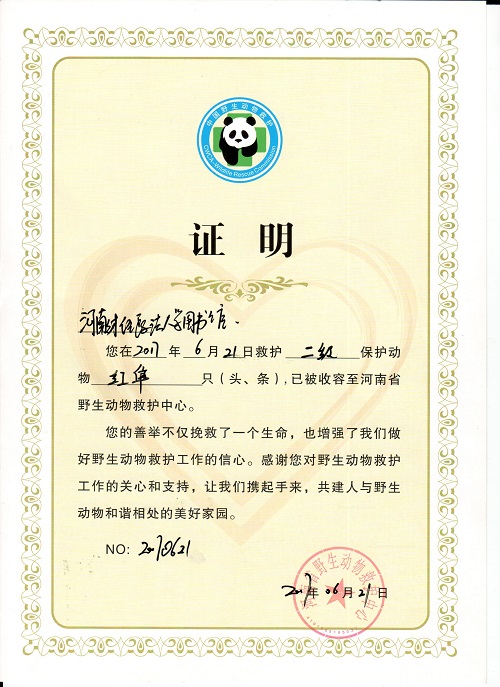 证书.jpg